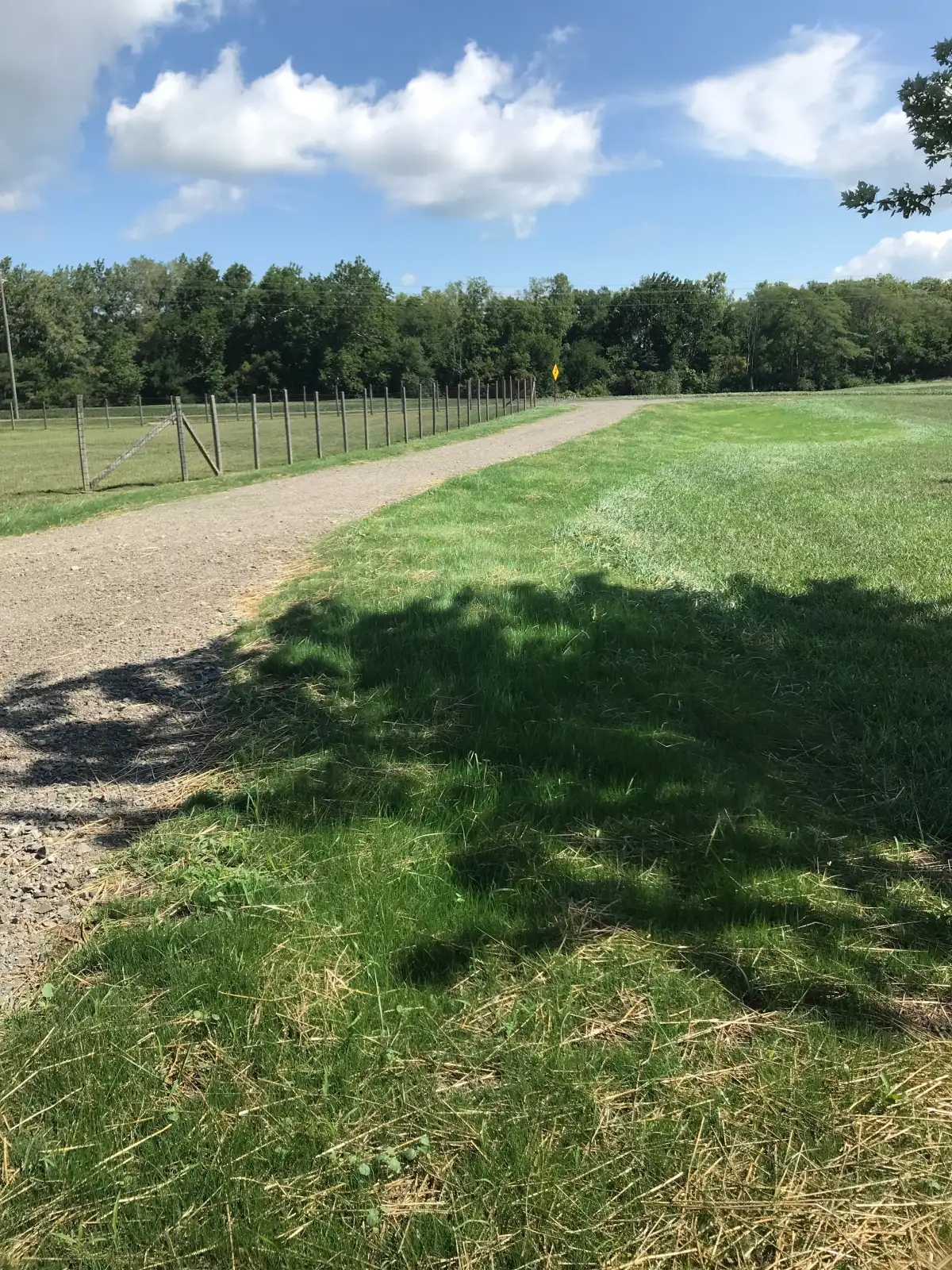 Completed drainage project with restored lawn at a Marysville, Ohio property