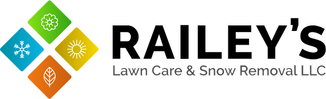 Raileys Services LLC logo