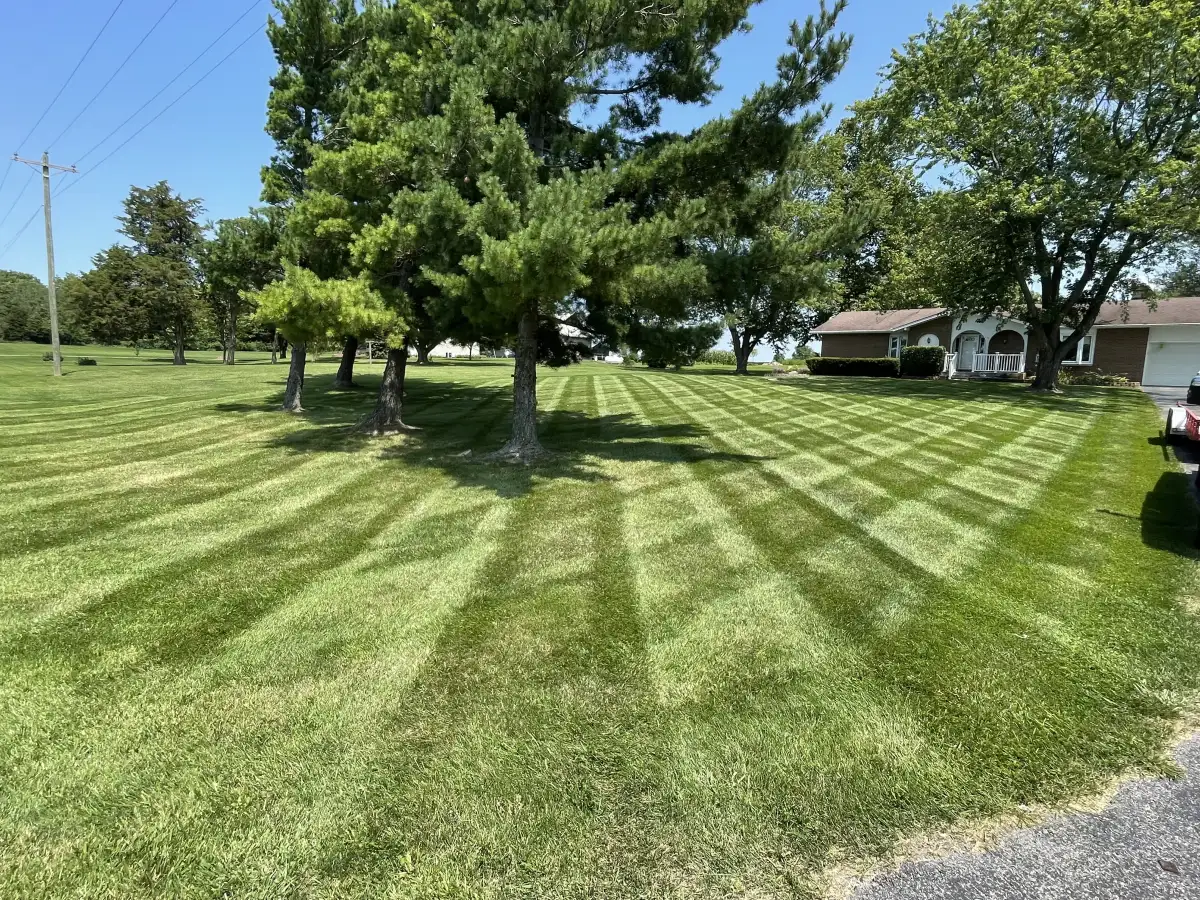 Freshly mowed residential lawn in Powell, Ohio