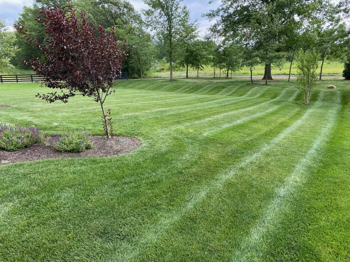 Spring yard cleanup and bed preparation at a property in Union County, Ohio
